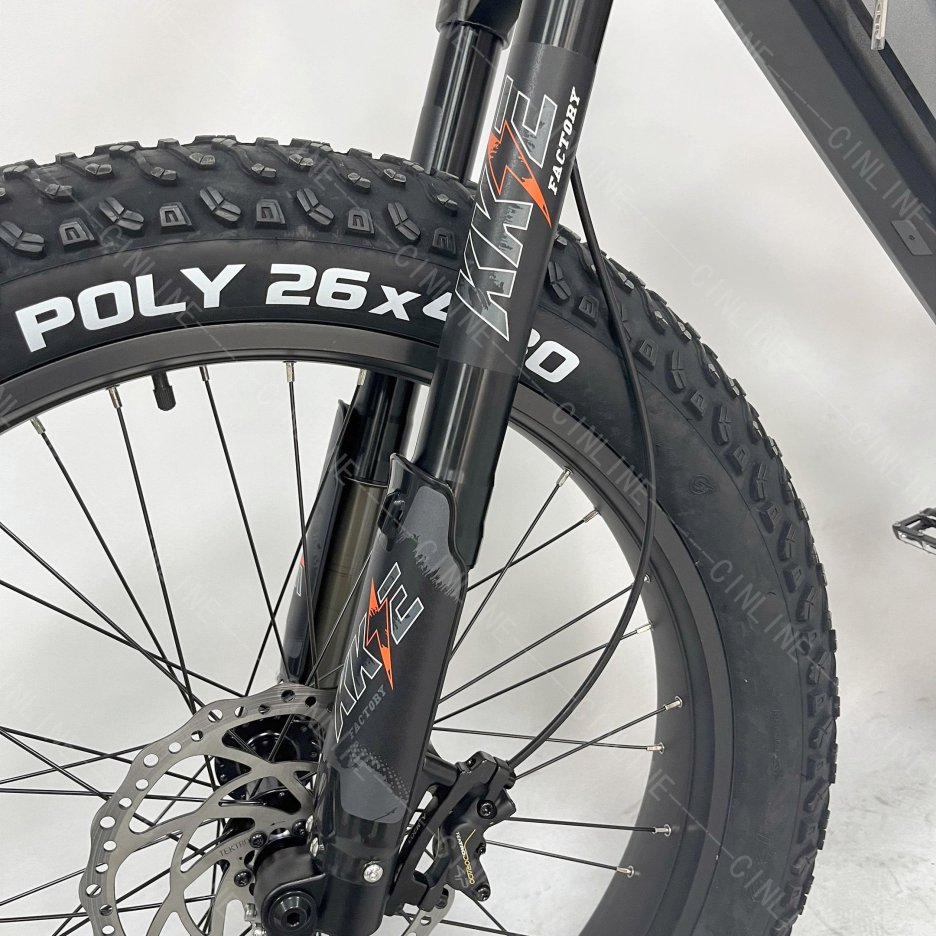 Fat tire Ebike long range easy rider central motor mountain electric bikes 48V 1000W