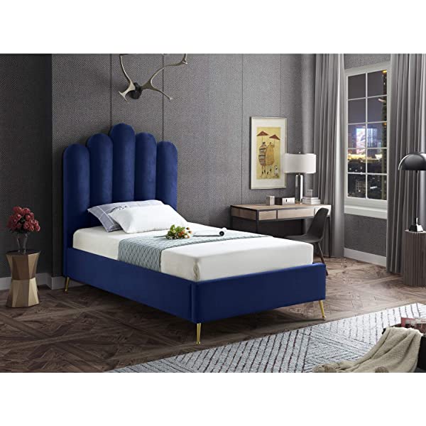 Meridian Furniture Lily Collection Modern | Contemporary Velvet Upholstered Bed with Deep Channel Tufting and Custom Gold Steel Legs, Queen, Cream Cream Queen