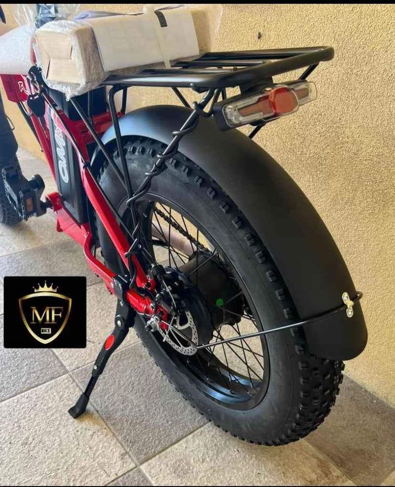 Bici elettrica Fat bike