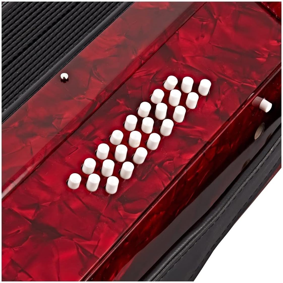 Piano Accordion with Carry Case and Shoulder Straps